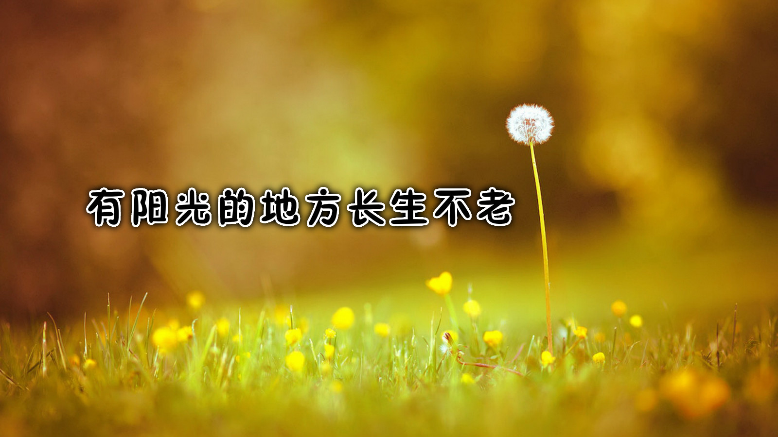 很多商家退出淘宝,为什么很多商家退出淘宝