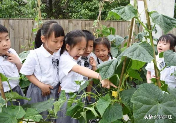 社会满意度考评,社会公众满意度测评宣传图片