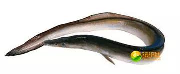 舟山海鲜攻略2天3晚吃什么,舟山海鲜代加工攻略