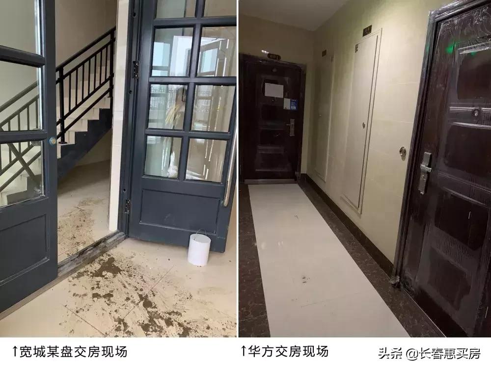 花8000买号值不值,花8000买个龙鱼缸