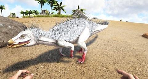 方舟手游体型小负重高的龙,方舟生存进化体型最大