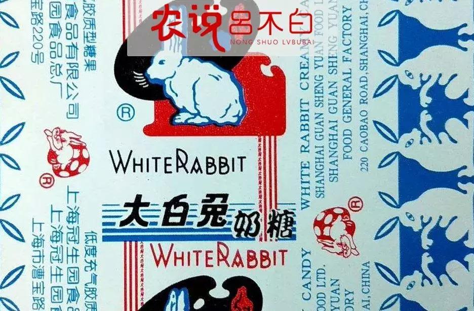 99年大白兔网红,中国大白兔网红