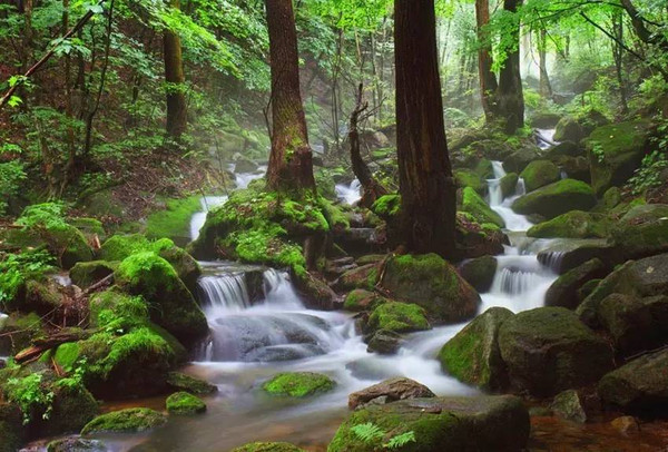 本溪市内人口总数,本溪市各区县2018常住人口