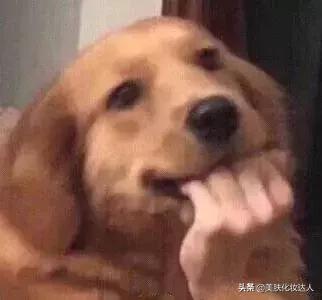 悦诗风吟口红专柜价格,悦诗风吟口红色号rd9