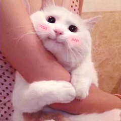 唱歌唱不上去高音的小技巧,高音唱不上去怎么练教你一招解决