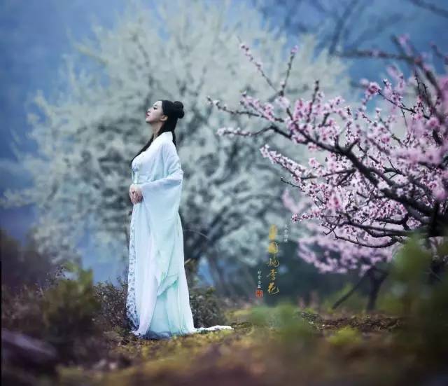 荐读Ⅱ贾平凹先生的老生