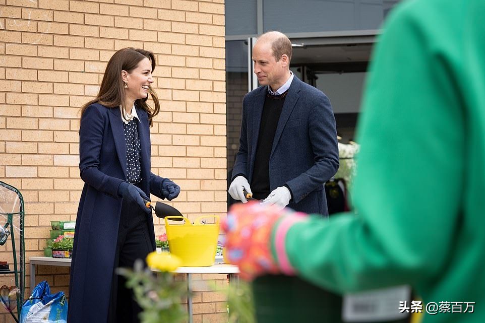 威廉凯特最新合体,凯特威廉哈里梅根秀恩爱