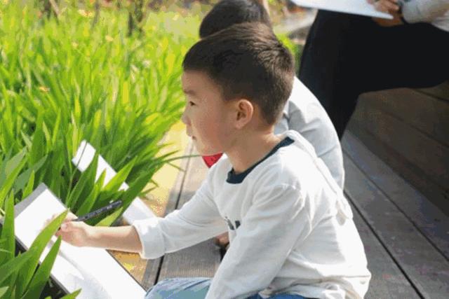 未来10天预警，深圳最最最最火的地方在这里，美女都赶来打卡