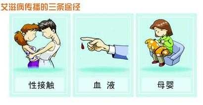 艾滋病传播途径所占比例最高的是,艾滋病的传播途径的相关介绍