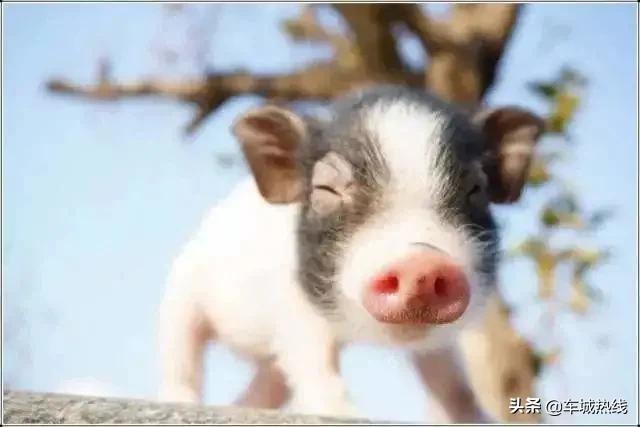 十堰市雨过天晴,十堰市晴好天气