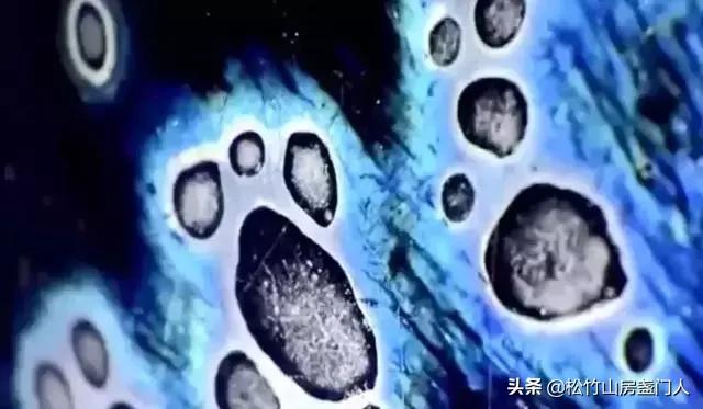 藏于静嘉堂的“天下第一碗”—稻叶天目