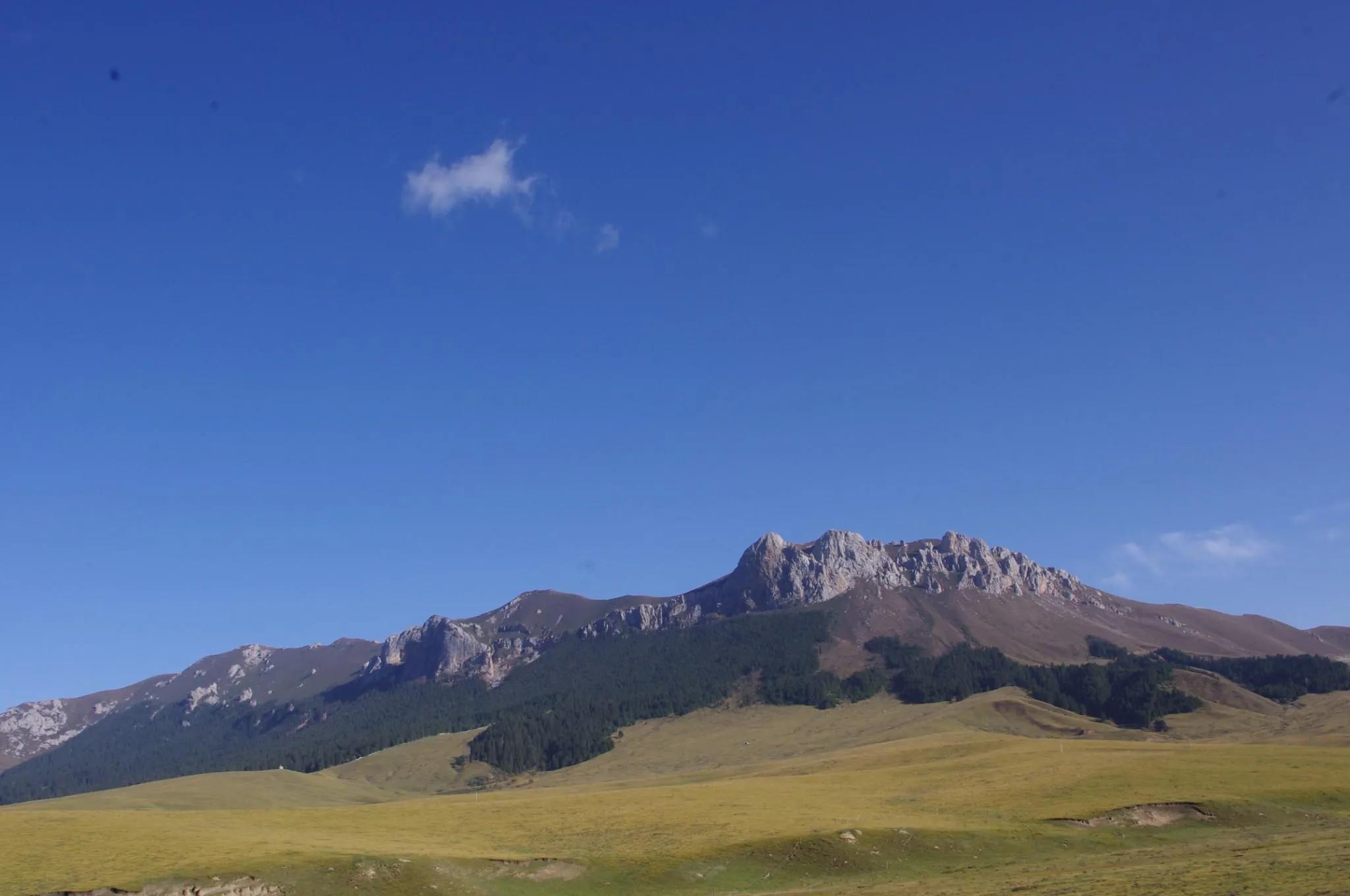 成都自驾青海湖特斯拉,成都自驾青海湖费用