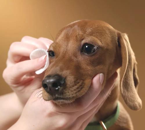 好用的奶粉奶瓶推荐,奶粉好伴侣