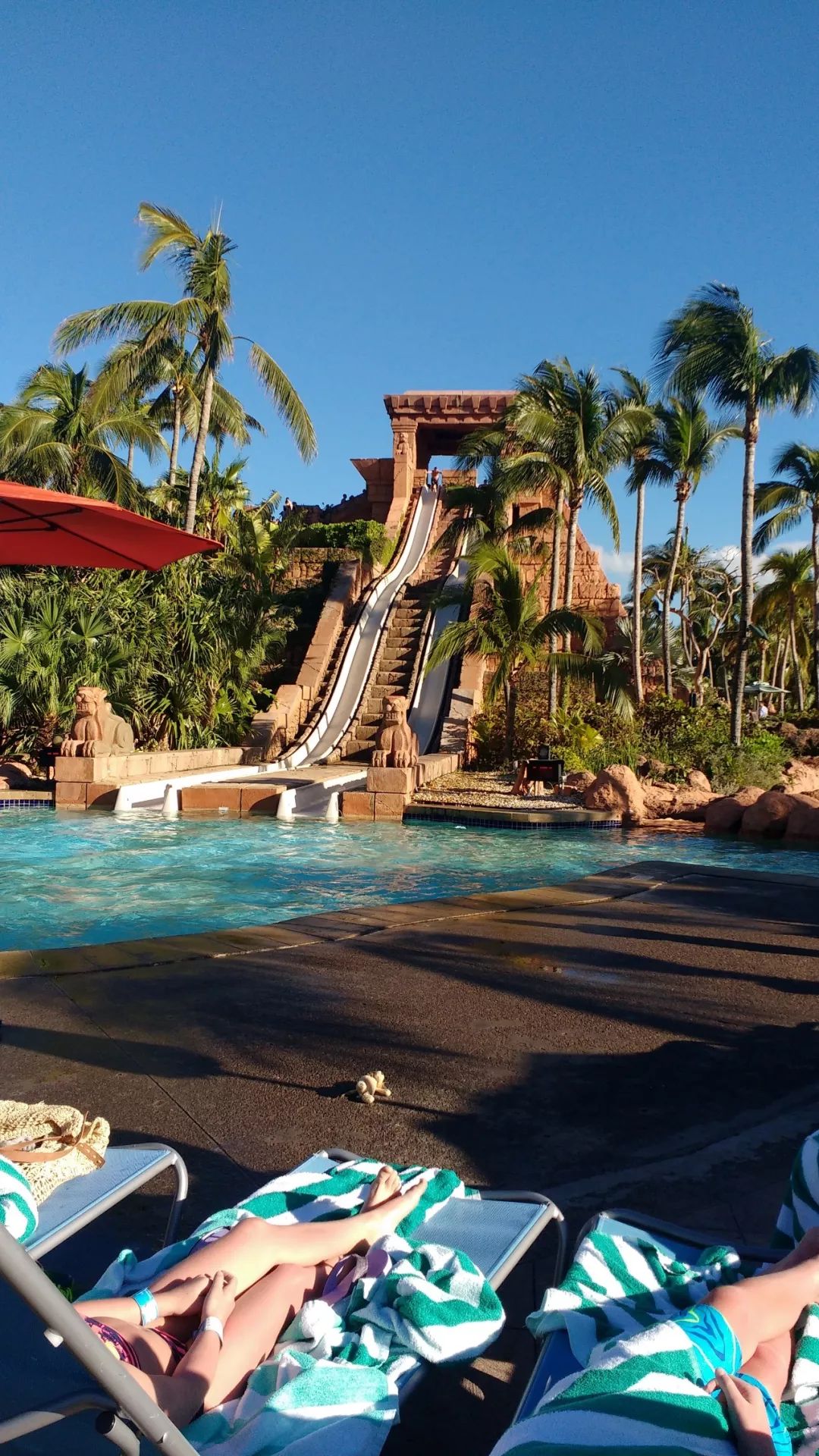 靠捡垃圾成为千亿富豪,靠捡垃圾成为千亿富翁合集