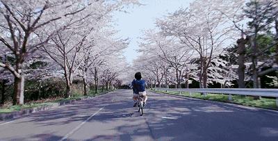 新海诚的唯美动画,新海诚日漫治愈风景