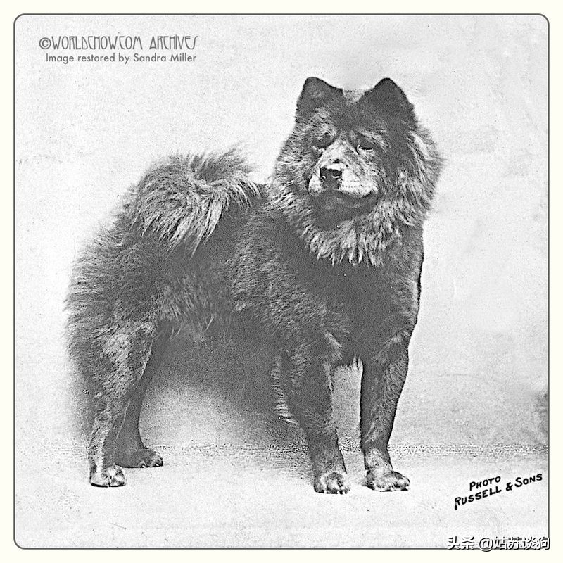 涓浗鐔婄姮,涓浗鐔婄姮鏈夊鍘夊