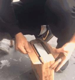 看到自家猫心情都会很好,这样的猫你会想养一只吗