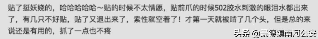 “割声带、截肢、电击，当爱变成我的噩梦”