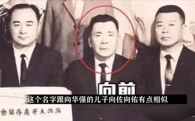 向华强谈婚姻经历,向华强结婚后被谁吸引了