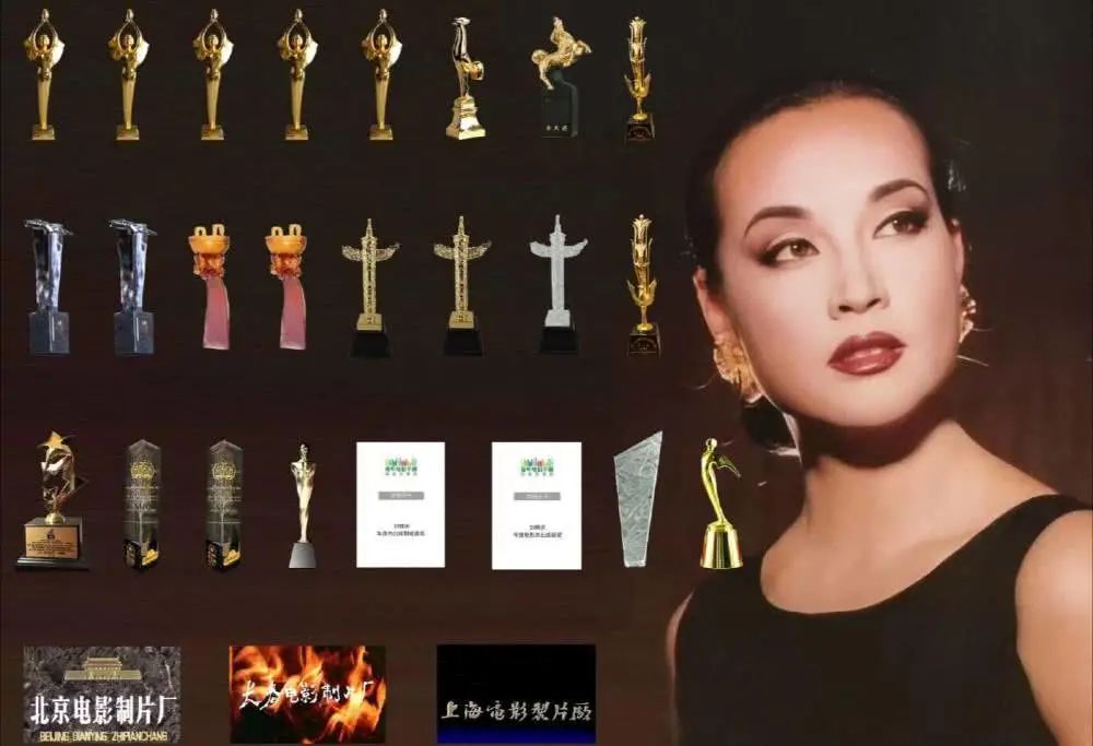 刘晓庆究竟有多少钱,六十五岁刘晓庆回老家买墓地