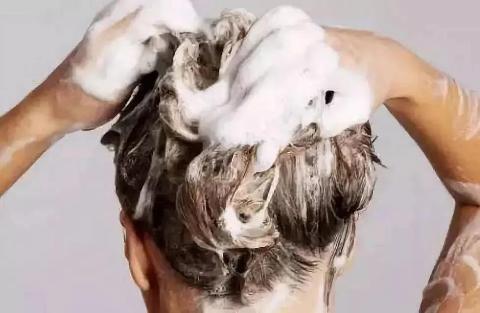 张柏芝早期发际线形状,张柏芝完美发际线