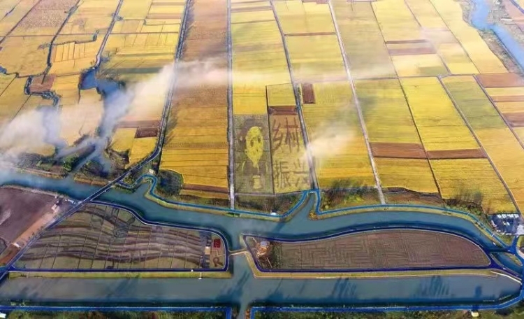 温州5个宝藏古村,温州宝藏打卡地