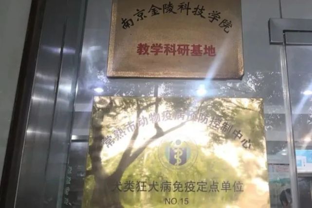 走近瑞派宠医|胡浩院长：好医生要慢着来