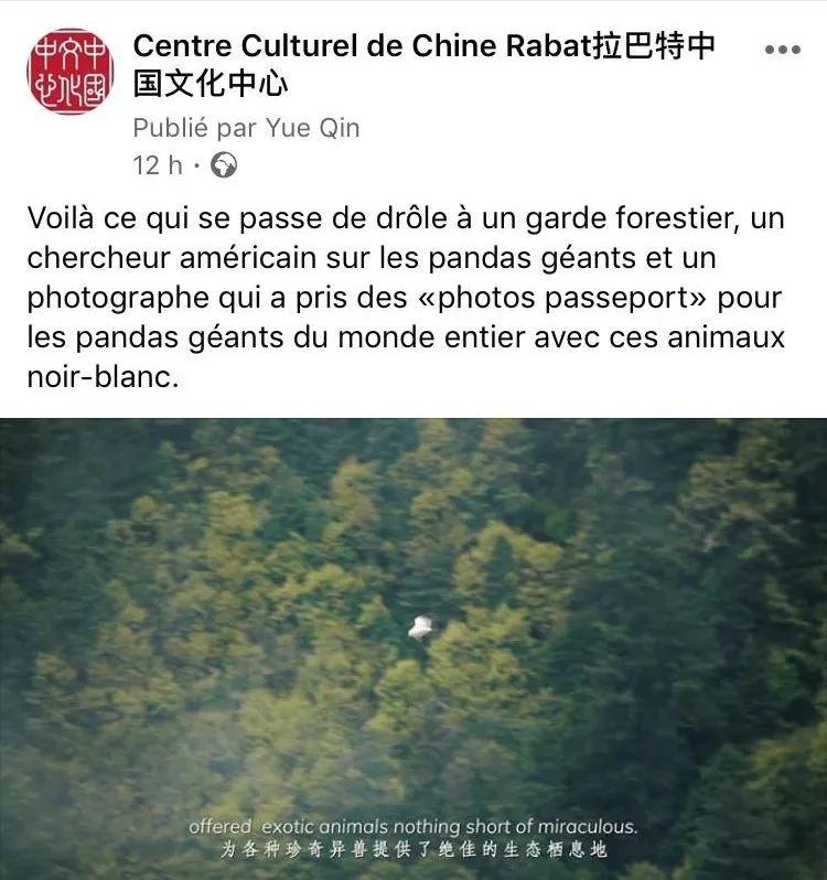 有一种生活美学叫成都短片,成都生活美学视频