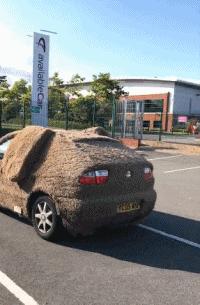 2019爆笑gif动图高清斗图,2019爆笑gif动图高清