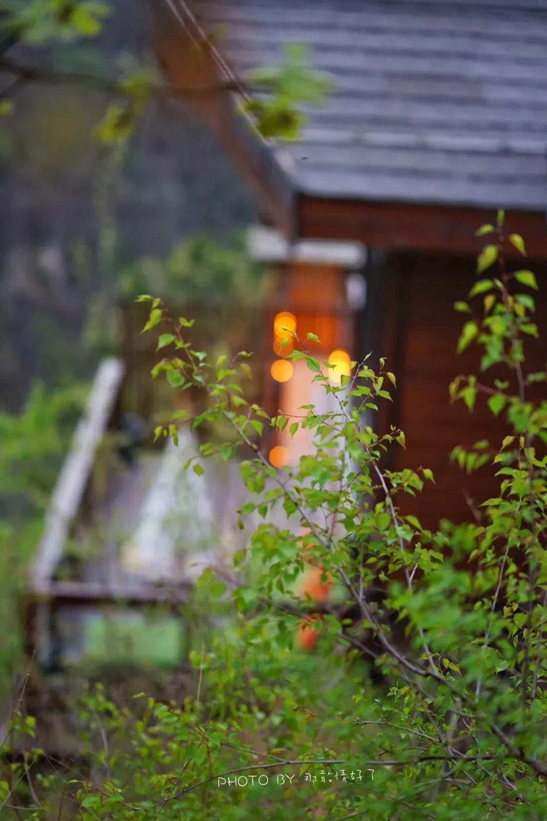 北京京郊童话树屋,台湾神奇的树屋