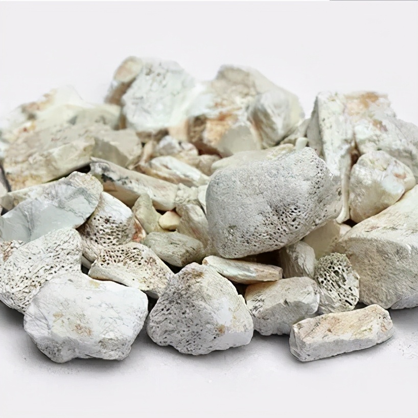 执业中药师常用单味药,中药药剂师必看的书