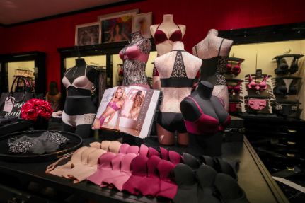 维密维多利亚的秘密官网,维密2010维多利亚的秘密