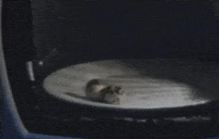 千万别微波加热这4类食物，不是危险就是不健康