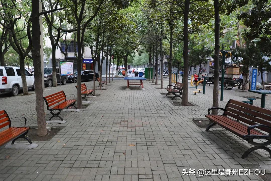 全国示范社区服务中心排行,全省示范社区