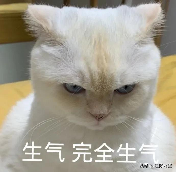 江苏南京：花两万多找人代购，几个月都没收到货