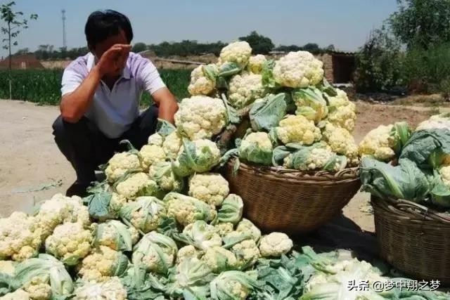 商机你发现了吗,怎样去发现商机