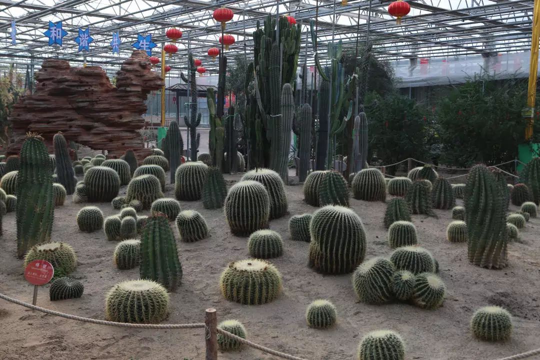 玩转第十八届长春农博会,2019长春冬季农博会票价