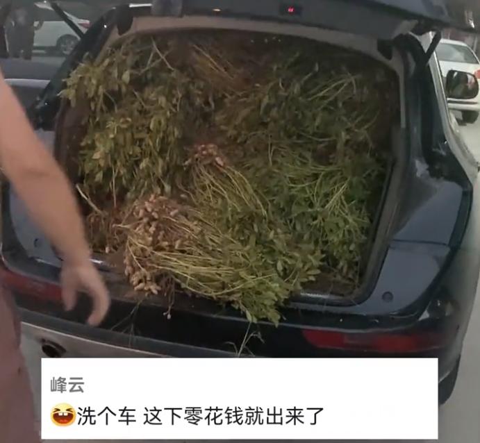 一男子开豪车给母亲拉白菜,山东男子开豪车给母亲拉废品