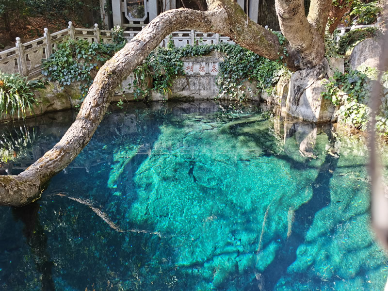 大理古城一天旅游攻略,大理古城90分钟游玩攻略