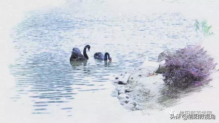 信阳师范手绘图,信阳师范学院的春天手绘图片