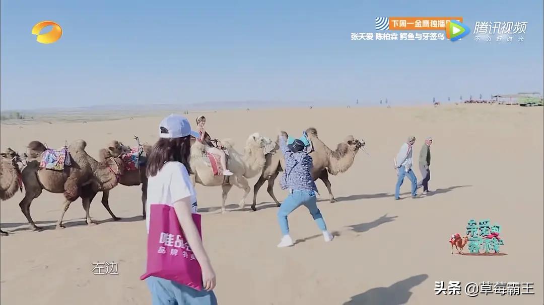 8位标准的都市美女，古装扮相略显违和，一换上现代装就艳丽逼人