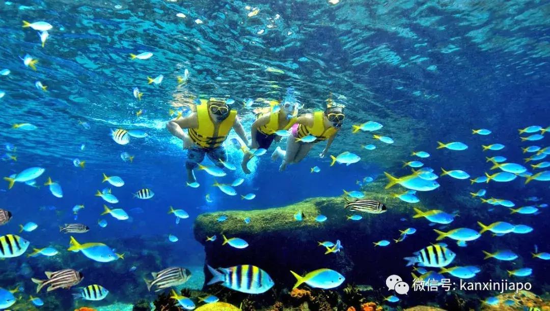 圣淘沙名胜世界视频,圣淘沙名胜世界30分钟打卡