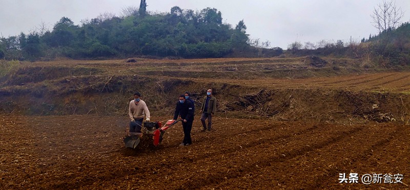 一本日记一份初心,一部战疫日记