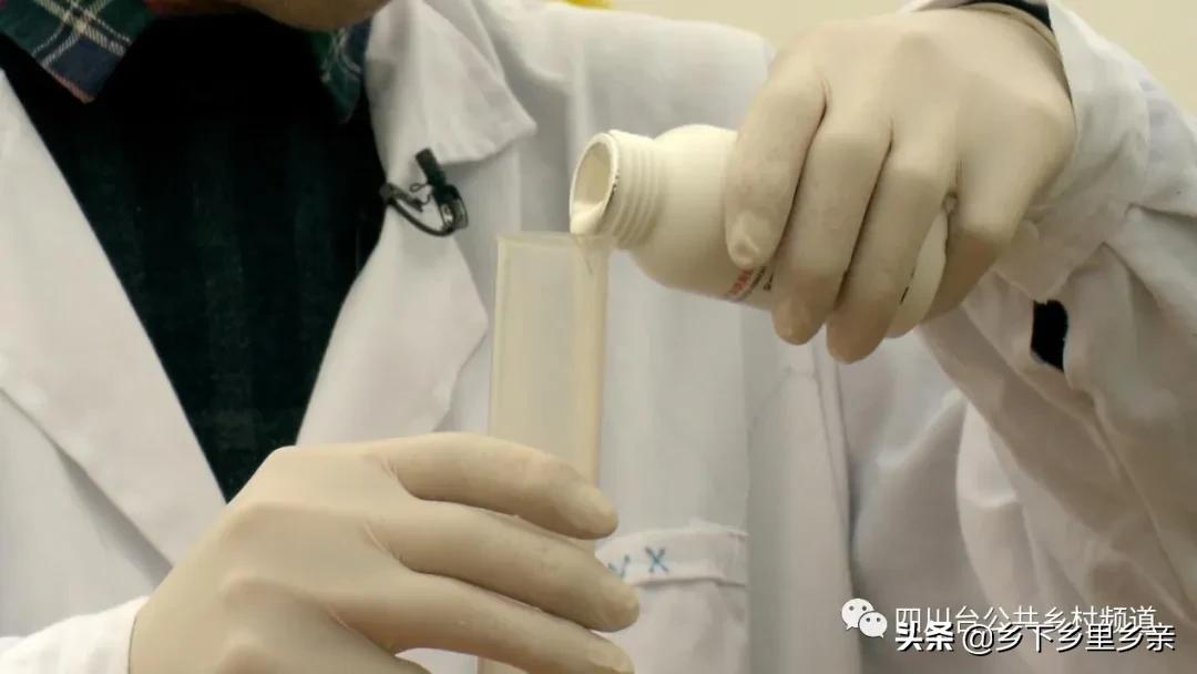 油菜得了病用什么药,油菜生病了怎么防治