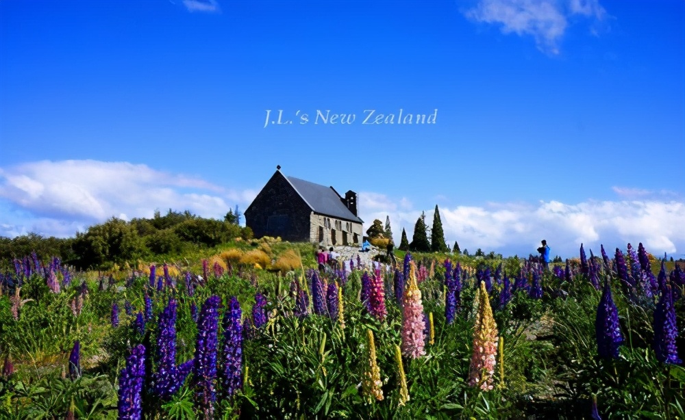 新西兰建筑真实情况,新西兰建筑行业现状