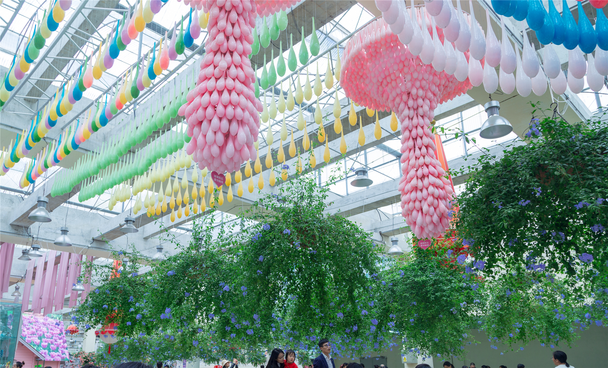 百万葵园攻略地图大全,百万葵园游玩注意事项