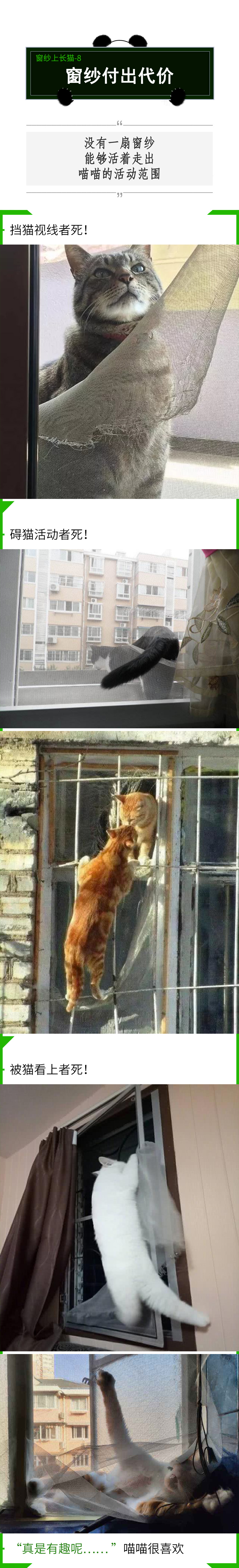 有纱窗为什么家里总有蚊子,有防盗网的房间窗户防蚊纱窗