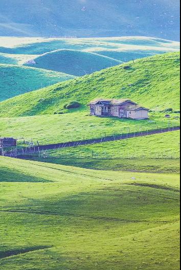 跟团游好处,跟团有什么要注意的