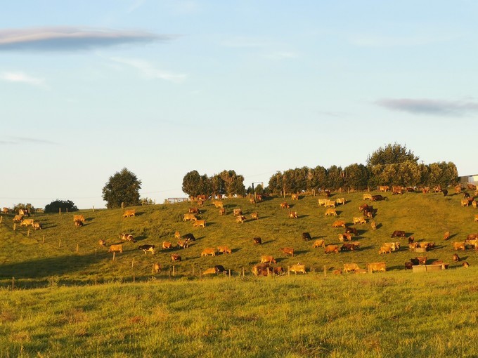 让你不出国就可以拍出欧洲即视感,让你不出家门就能看到江南的美景