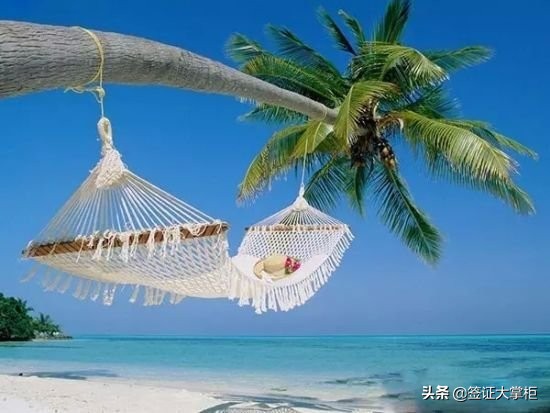 最新各国签证样本图片,签证一般要几寸照片才能办理